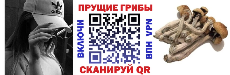 Псилоцибиновые грибы мухоморы  Пыталово 